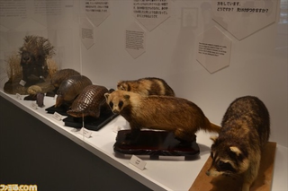 Illustration for article titled At this Science Exhibit, You Study Pokémon
